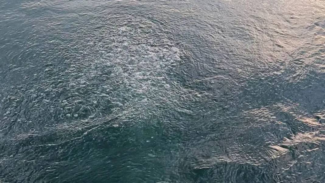 Sapanca Gölü’ndeki kabarcıklar panik yarattı: Depremin işareti mi? Uzmandan net açıklama 2